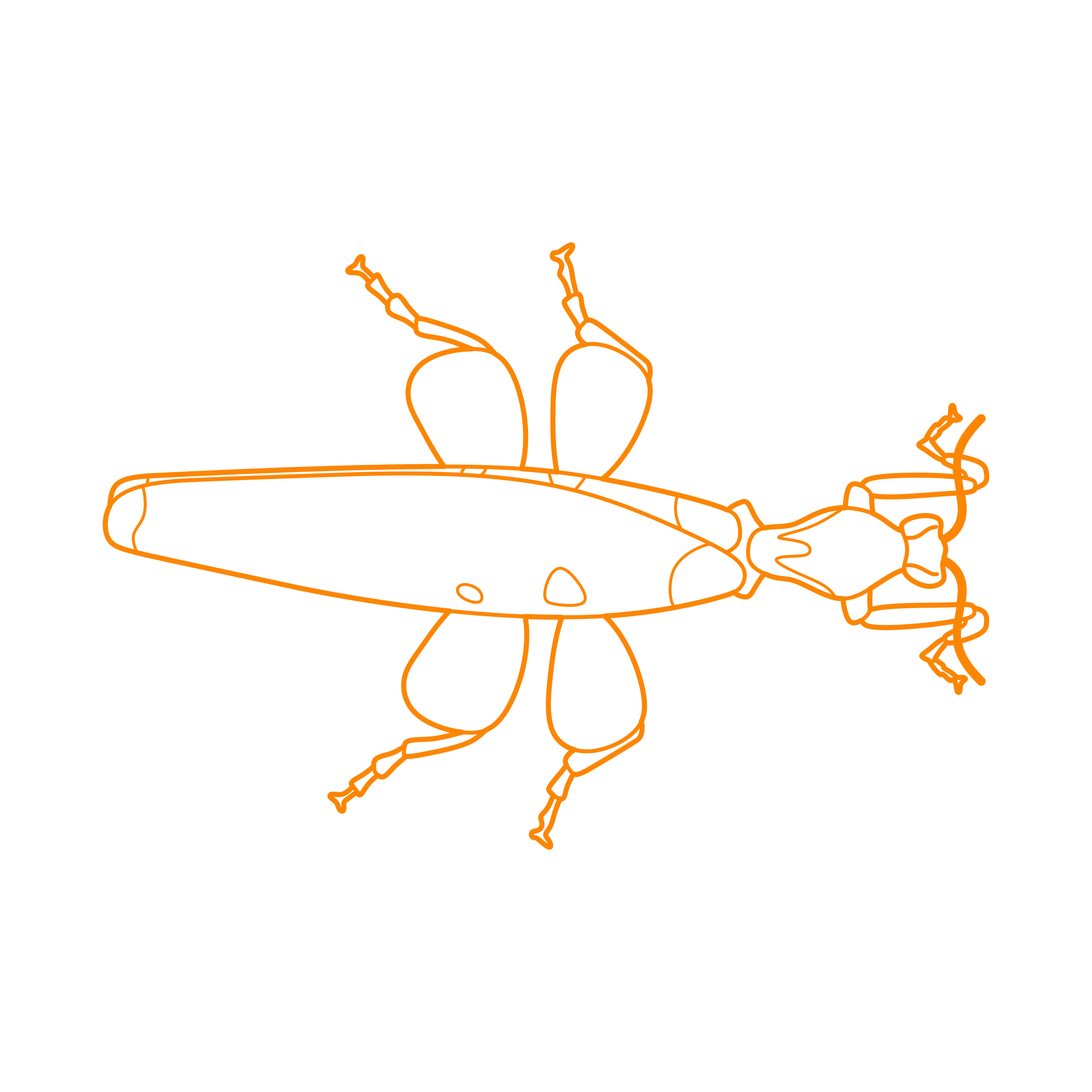 Animals Insects Orchid Mantis Sketch Style Svg Vector Free Vectors